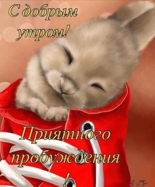 IMG 20210214 013234