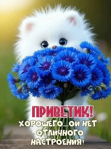 0aa11fd5f2824367be19121af6c45fbd
