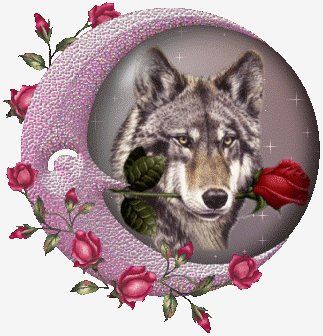 Globe Wolf