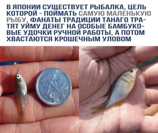 Рыбалко