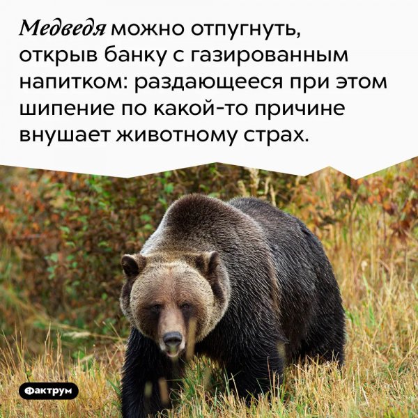 )))