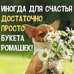 getImage(143)