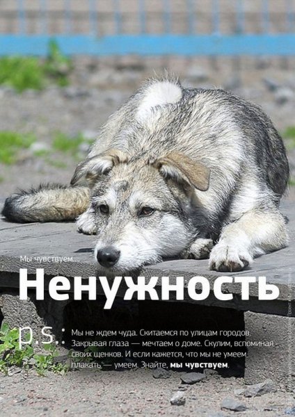 Ненужность