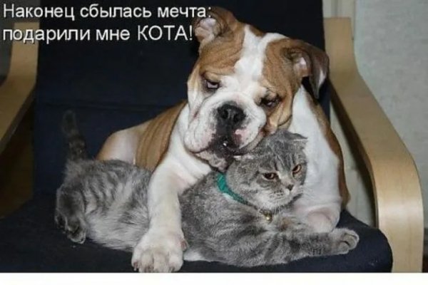 Да! ))