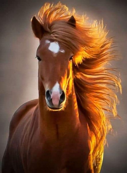 10-35-22-224773420 10223767638093181 6855201458287796668 n