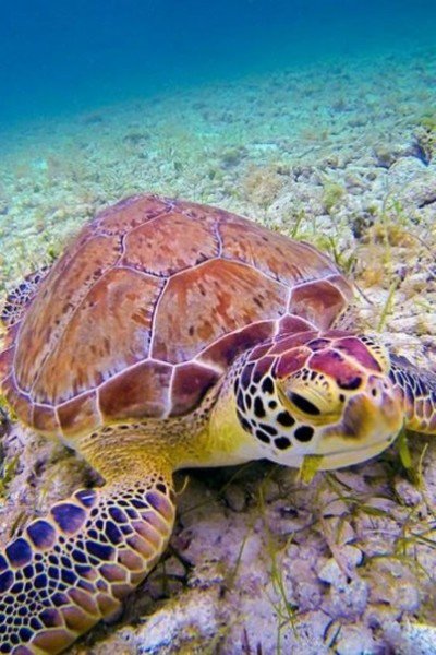 picture_298011792