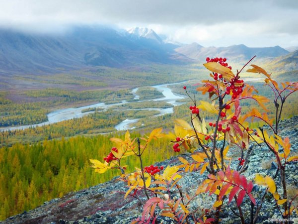Осень в Хибинах
