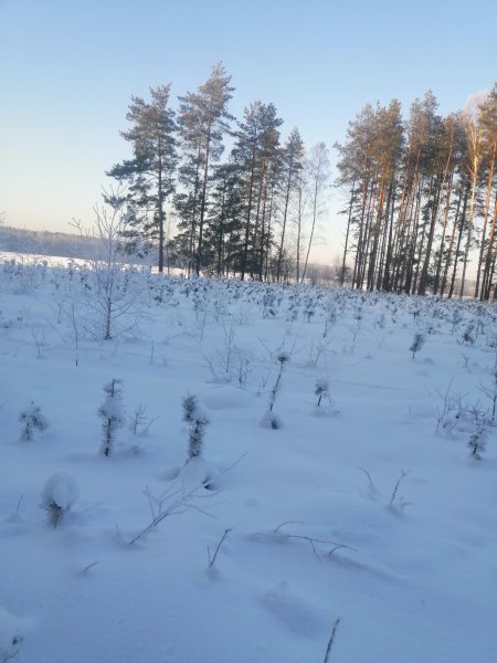 Рыбалка