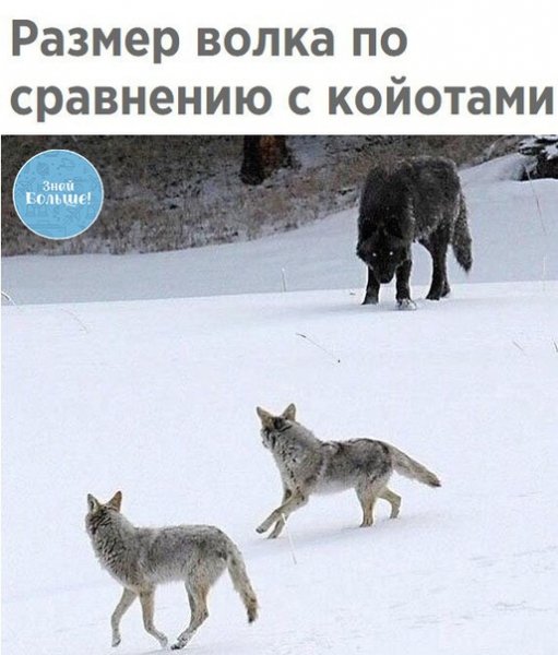 xpY7ToAkr4M