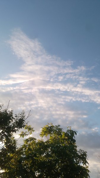picture_413025999