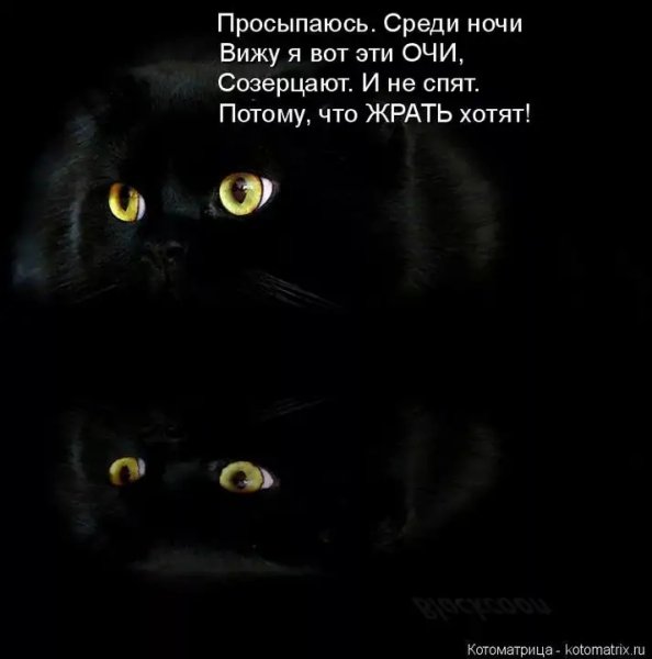 )))))
