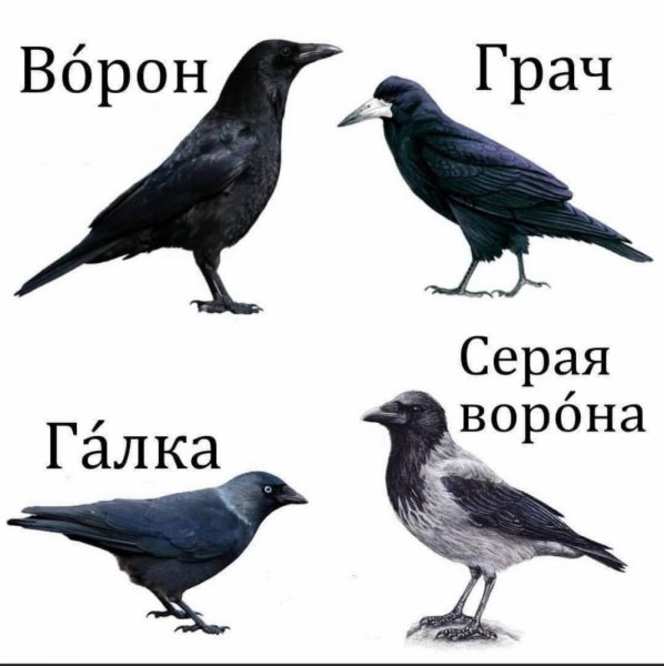 Запомните!