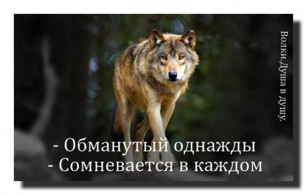 Это точно