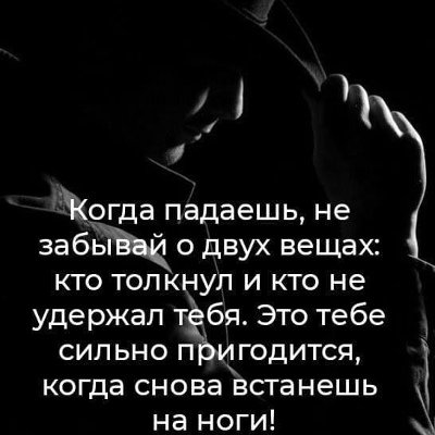 Верные слова!