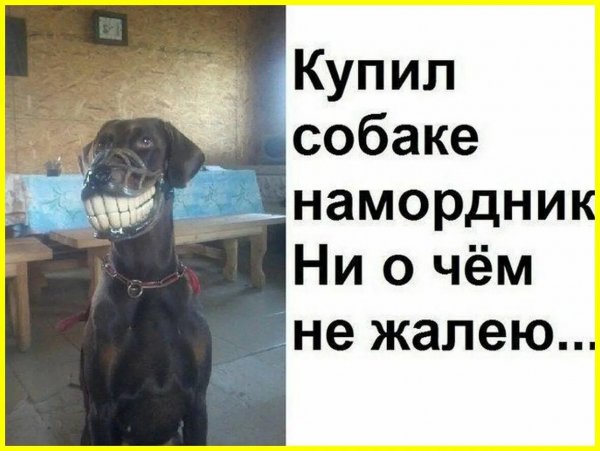 Так! ))