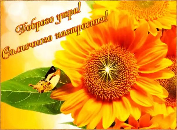 Доброго утра!