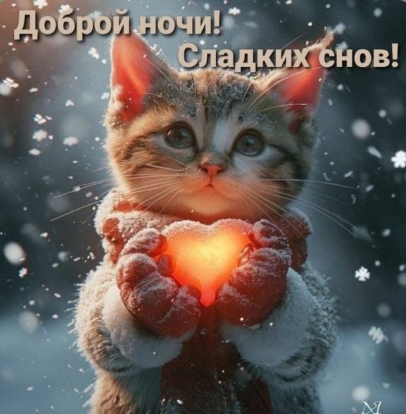 IMG-20250212-WA0018