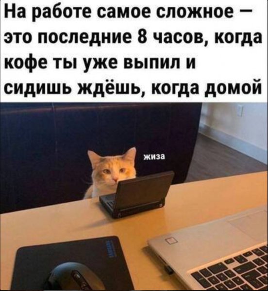 Работа)
