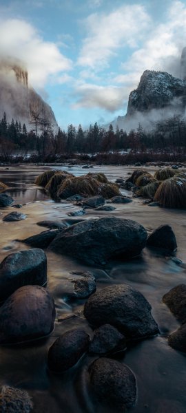 Android Wallpaper (262)