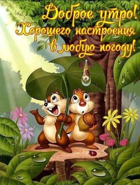 IMG 20190719 145446
