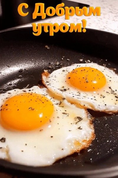 Друзья мои!