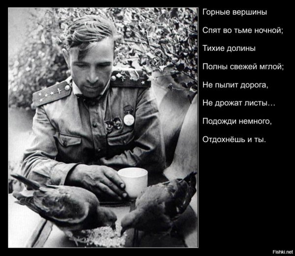 9 мая