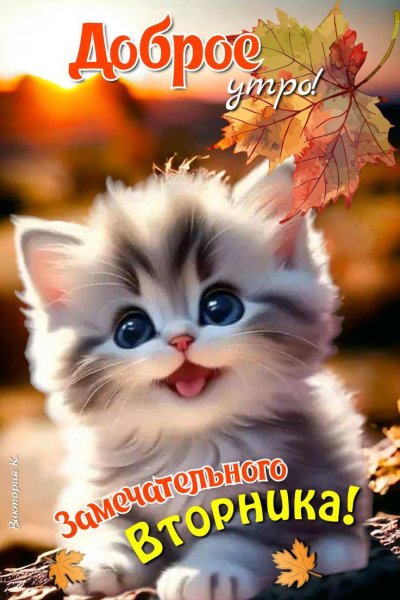 7d3e8aa3ba6c4a509374641a91ecf12c