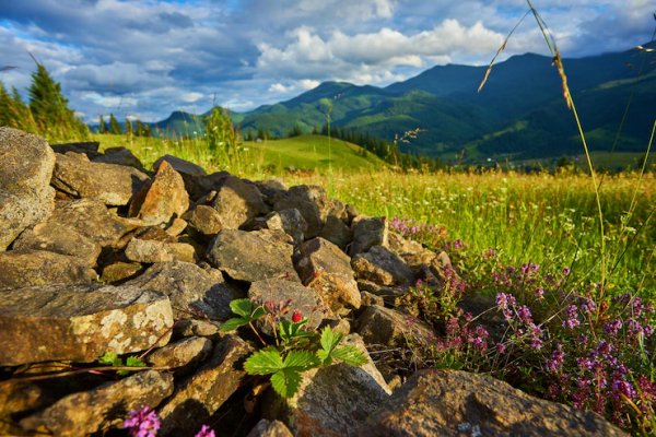 Idyllic-landscape-alps-with-fresh-green