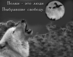 Свобода