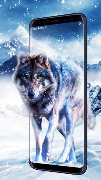 ice-wolf-live-wallpaper programView2 55479