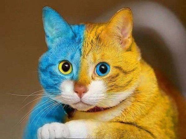 getImage(01)