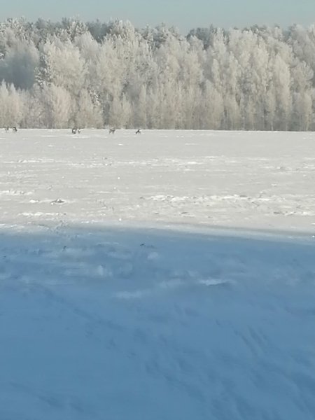 Рыбалка