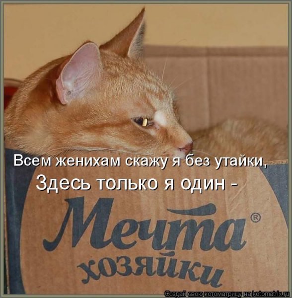 Да! ))