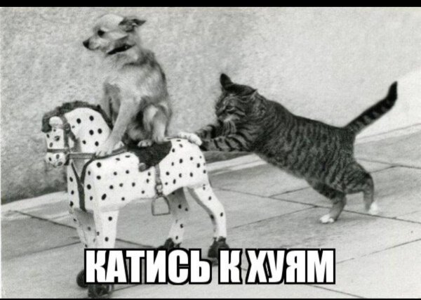 IMG 20260609 151906 639