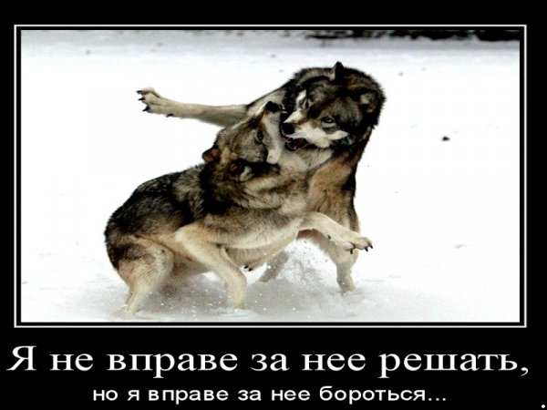 image (6)