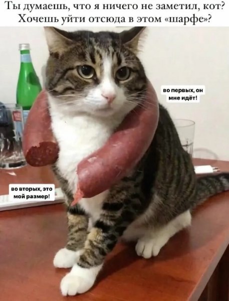 Мой размер!