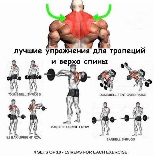 umavM8nFkhw