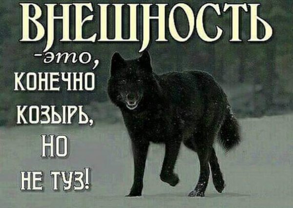 FB IMG 1597426689161