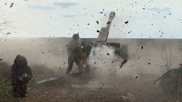 Артиллерия группировки «О» обнуляет позиции ВСУ под Ямполем