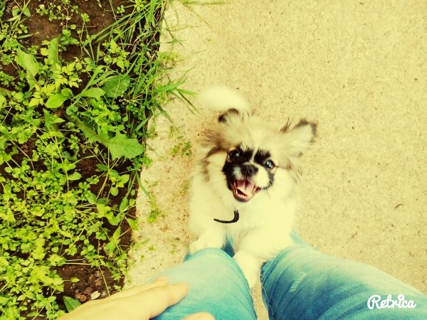 IMG 20160524 171818544