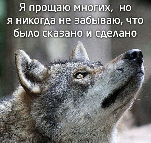 IMG 20180929 171409