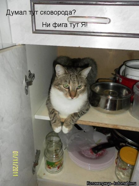 Опаньки!