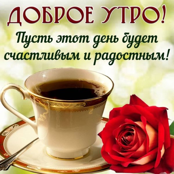 IMG-20231029-WA0014