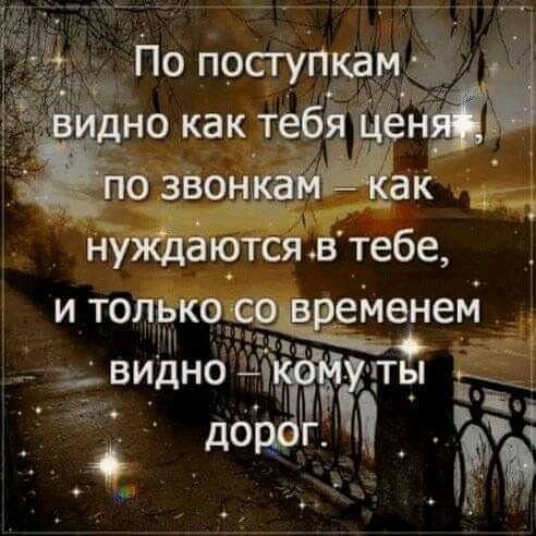 FB IMG 16222870449659534