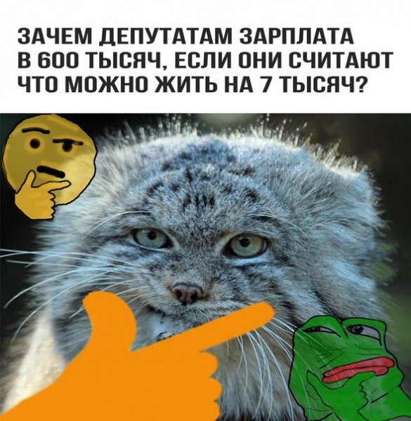picture_197322624