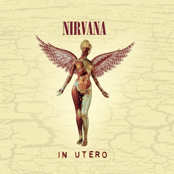 Nirvana - Rape Me